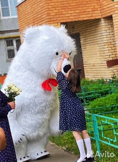 Ростовые мишки