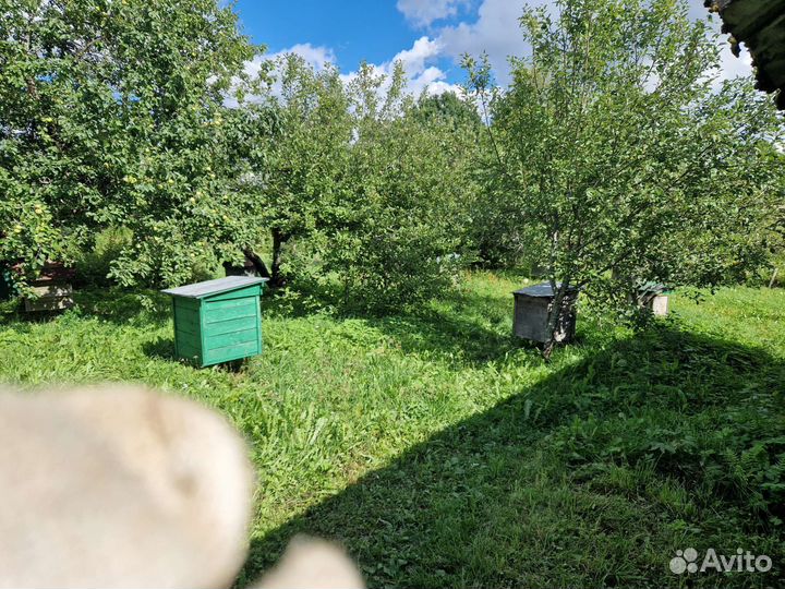 Продается пасека