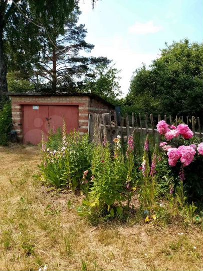 Дом 48 м² на участке 45 сот.