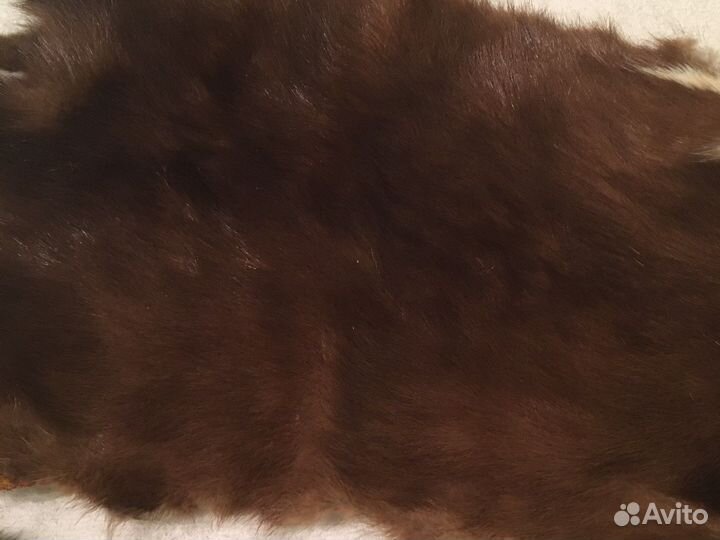 Шкура норки