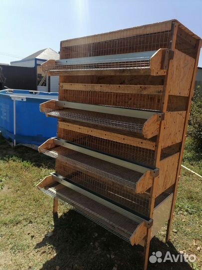 Клетка для перепелов