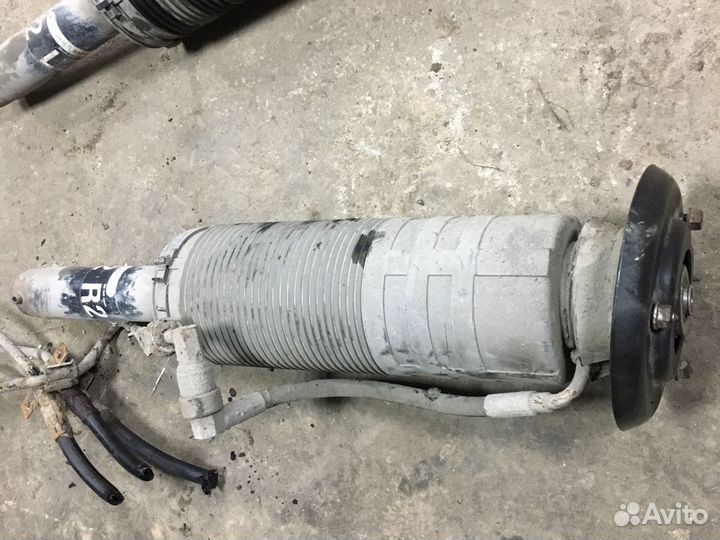 Гидроамортизатор Mercedes w220 s600 M137