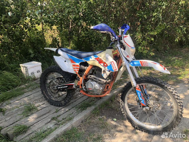 Kayo k1 2019