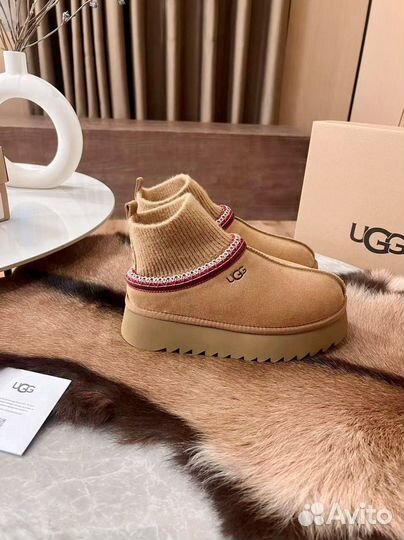 Ugg tazz с носком