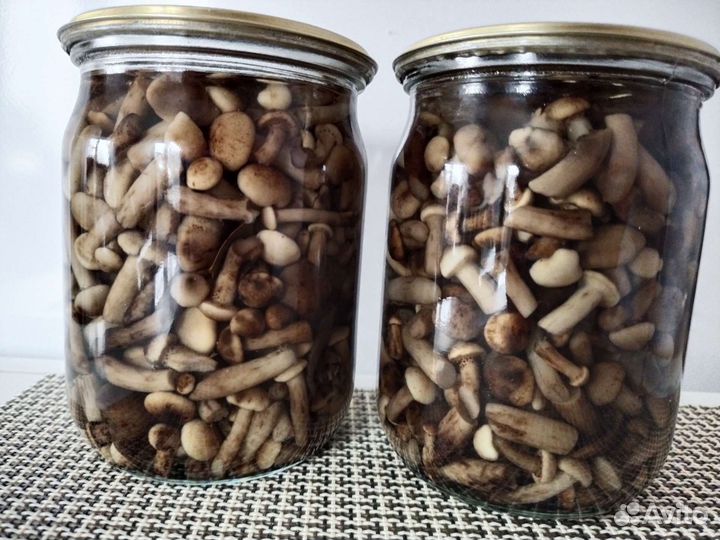 Грибы сушеные и маринованные