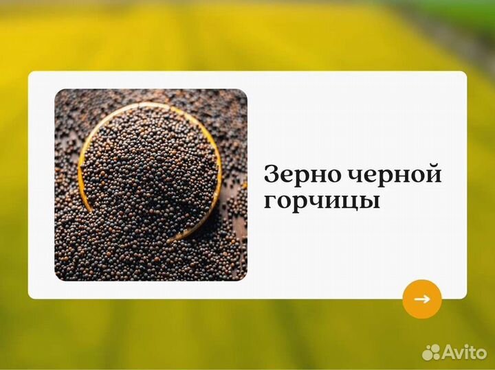 Чёрная горчица (кг)