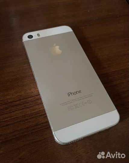 iPhone 5s