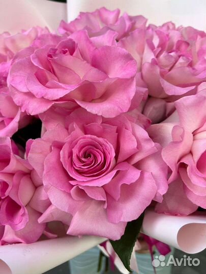 Букет из крупных французских роз