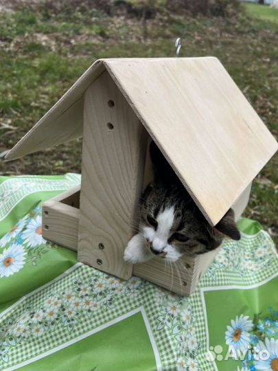 Кормушка для птиц