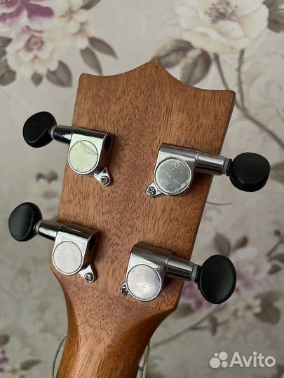 Укулеле концерт