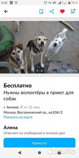 Собака