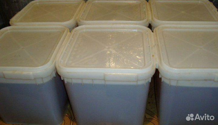 Мед оптом, 1 тонна