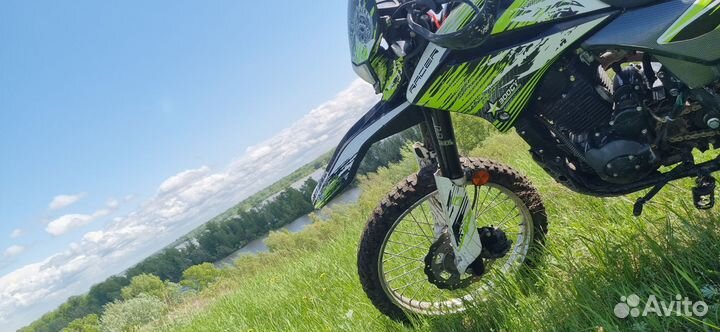 Рейсер Пантера 300