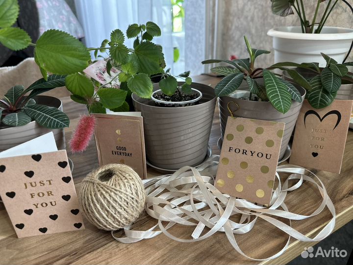 Цветочки к дню учителя