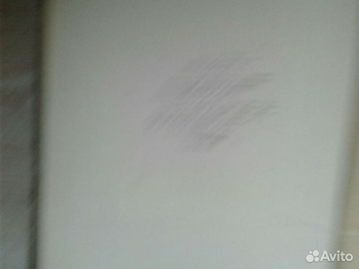 Салтыков -Щедрин 1918год