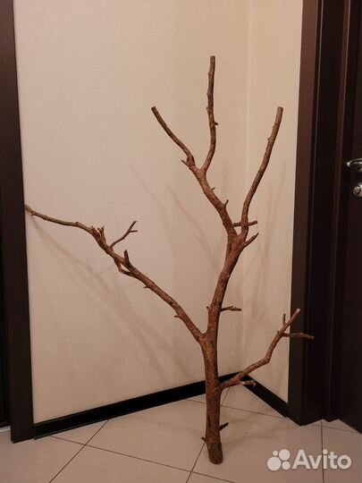 Коряги для интерьера и декора из натуральной сосны