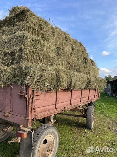 Сено в кипах