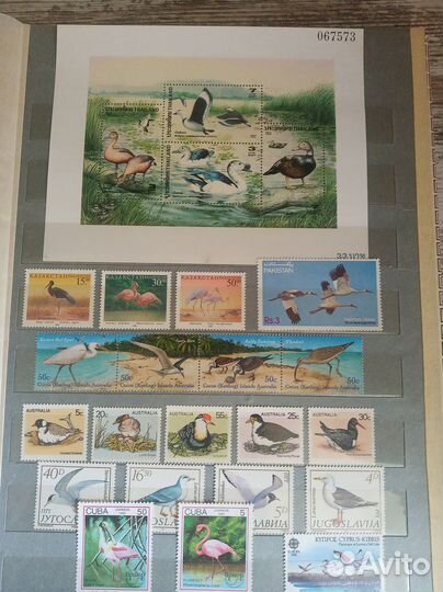 Альбом с марками (птицы) 2