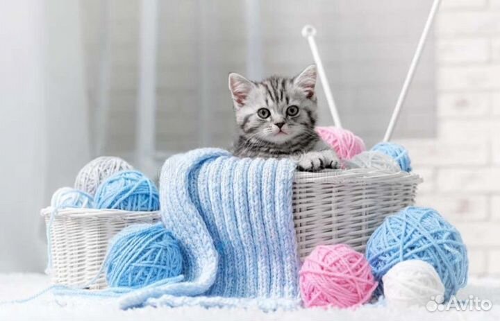 Обучение вязанию