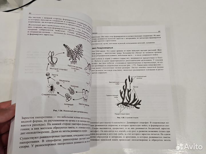 ЕГЭ по биологии Соловков 7 издание