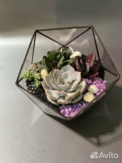 Флорариум подарочный, ретроградный меркурий