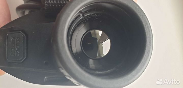Pulsar axion 30S
