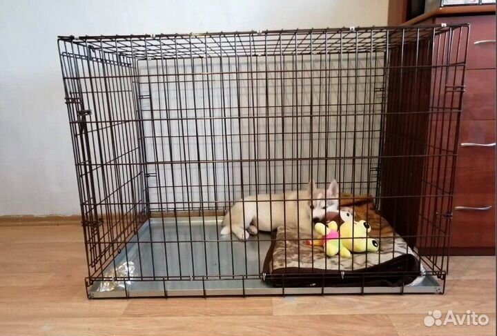 Клетка для собак
