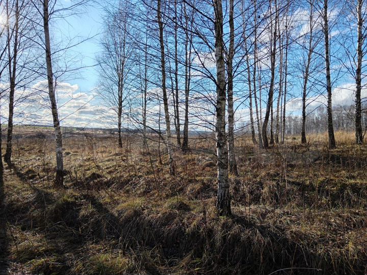 Участок 6,7 га (СНТ, ДНП)