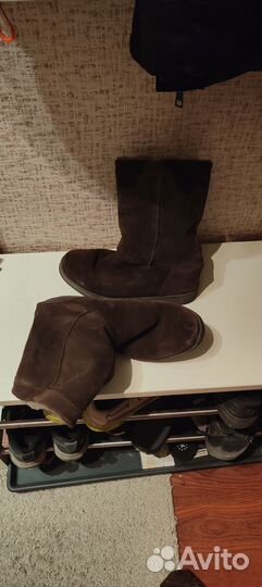 Сапоги унисекс замшевые