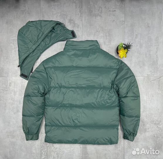 Зимние куртки Lacoste