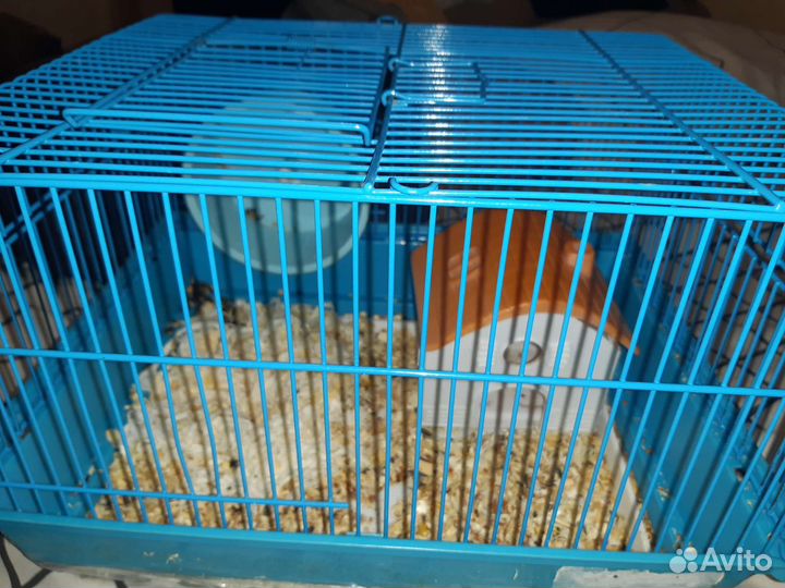 Клетки для хомяка