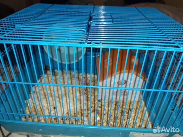 Клетки для хомяка