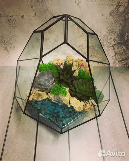 8 марта/Суккуленты/Готовые флорариумы