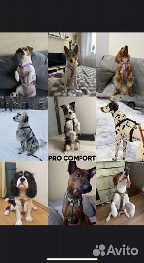 Шлейка для средней собаки