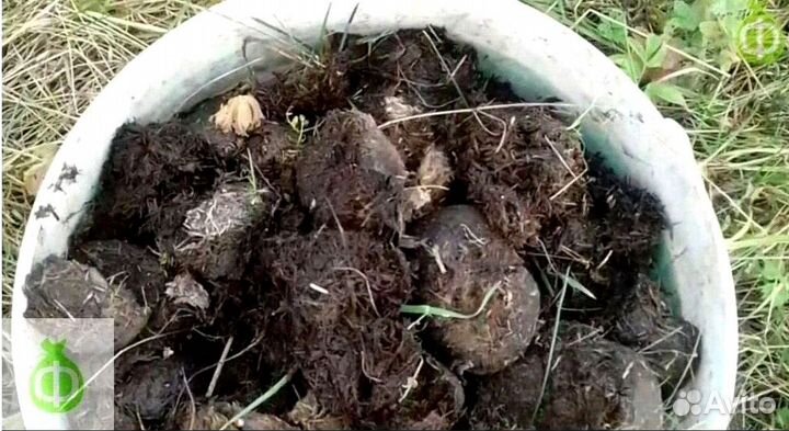 Навоз в мешках с доставкой в Апрелевке