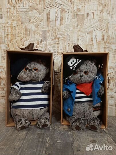 Кот Басик Пират, Кот Басик Моряк