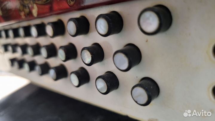 Гармонь Любительская соль мажор