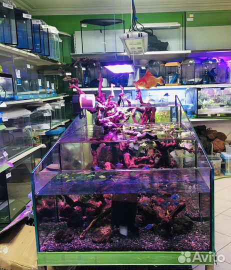 Аквариумный салон 