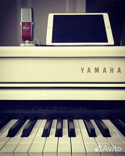 Микрофон Blue Microphones Raspberry USB iOS/Mac/PC