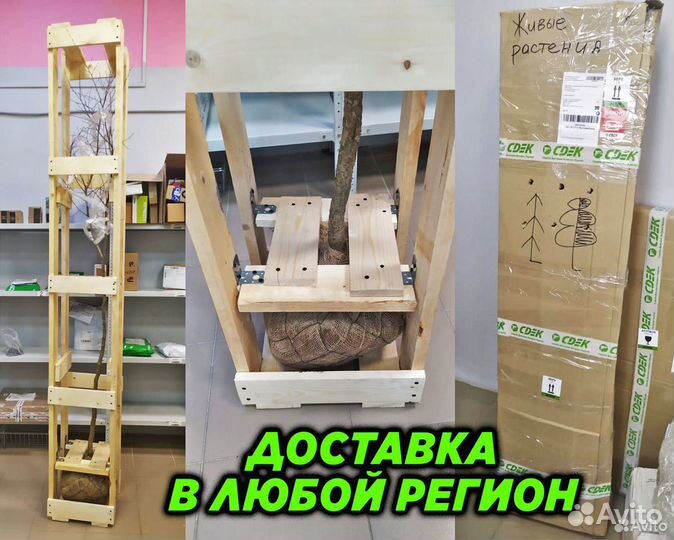 Травосмесь для задернения 10кг