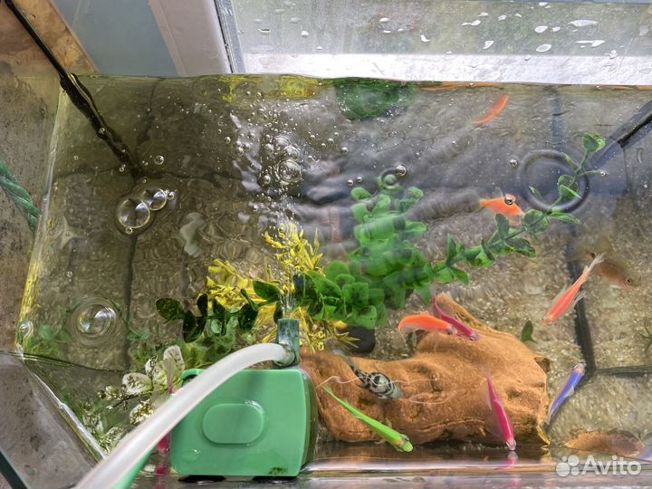 Продам два аквариума
