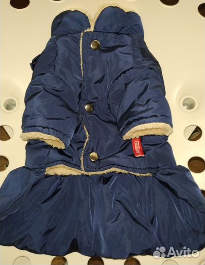 Дождевики/ Куртка зимняя/ Комбинезон зимний