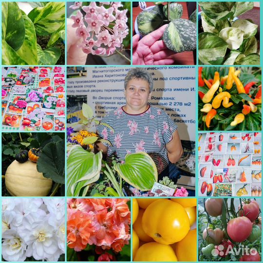 Выставка растений в Магнитогорске