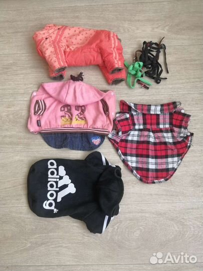 Одежда для маленькой собачки бу