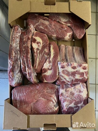 Мясо телятина
