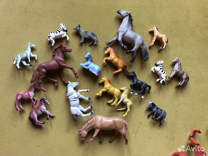 Коллекции: лошади, домашние, саванна, породы собак