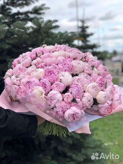 Пионы Цветы Доставка