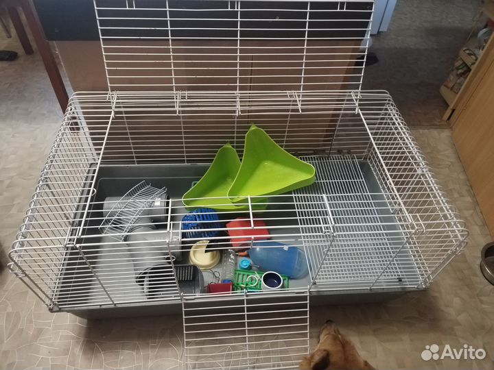 Клетка для грызунов очень большая, большая