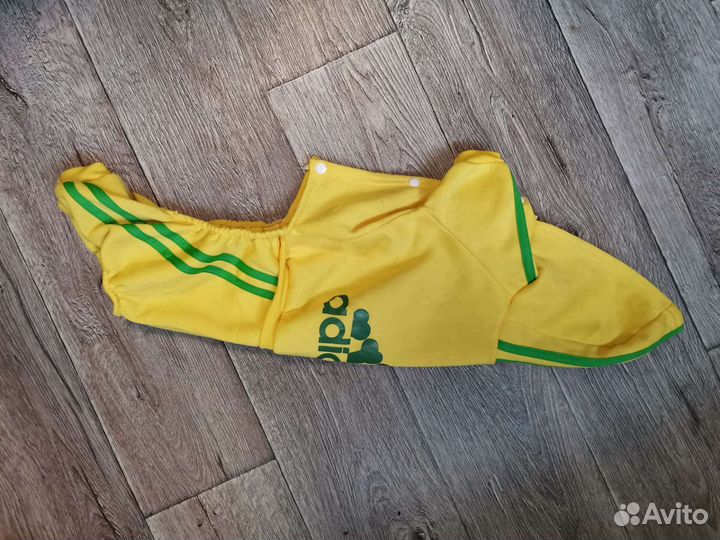 Костюм для собаки