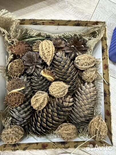 Природный материал для поделок набор